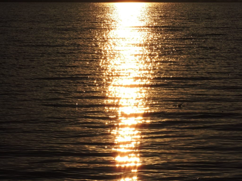 Agua y sol — Lagos y mar · 2017–2025