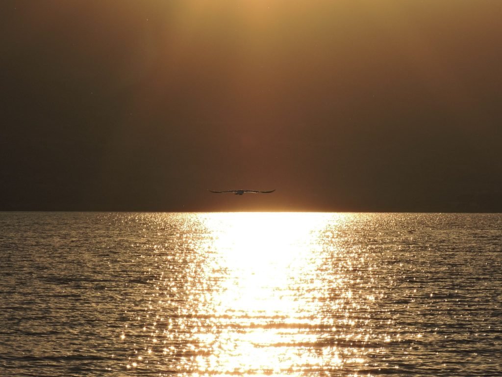 Agua y sol — Lagos y mar · 2017–2025