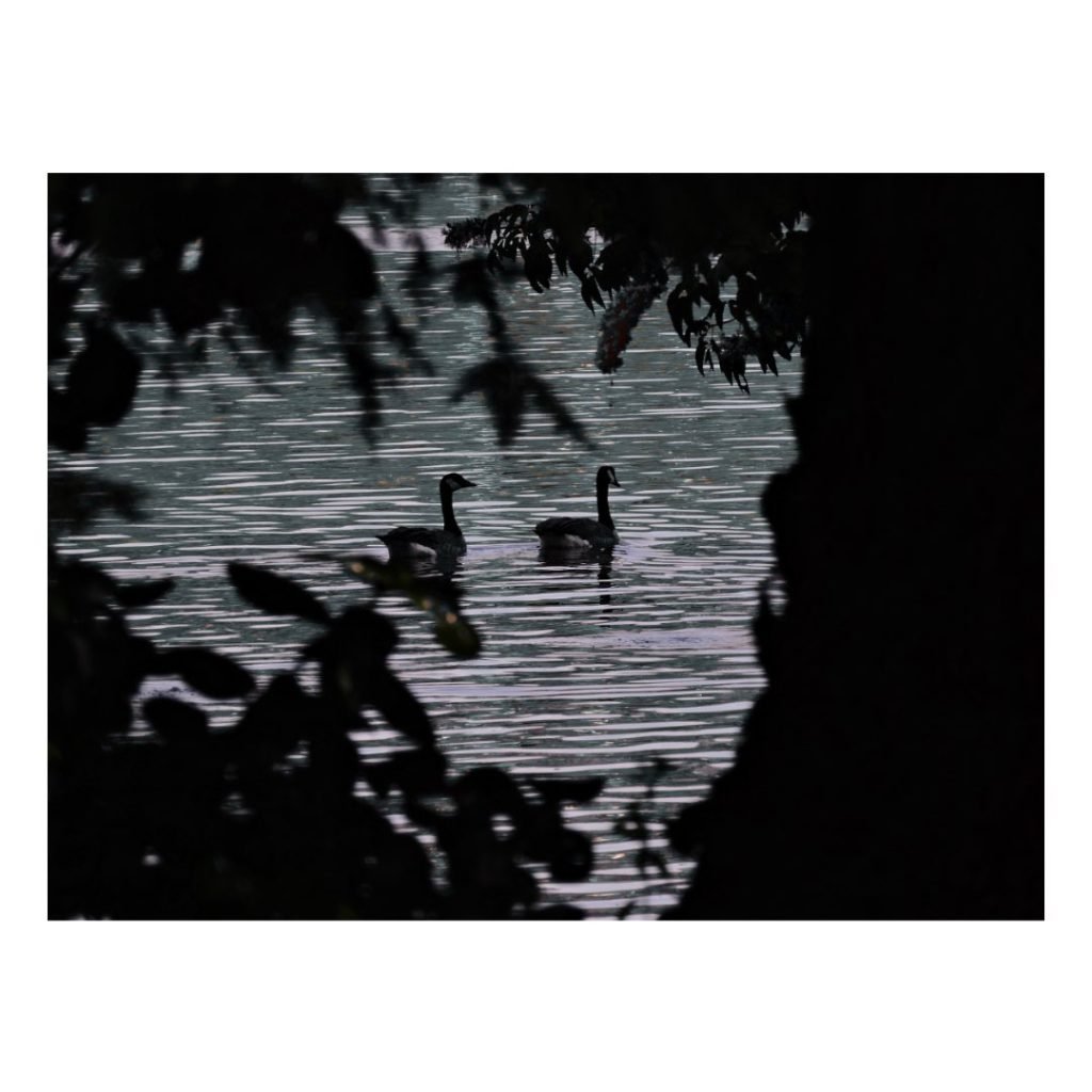 Agua y sol — Lagos y mar · 2017–2025