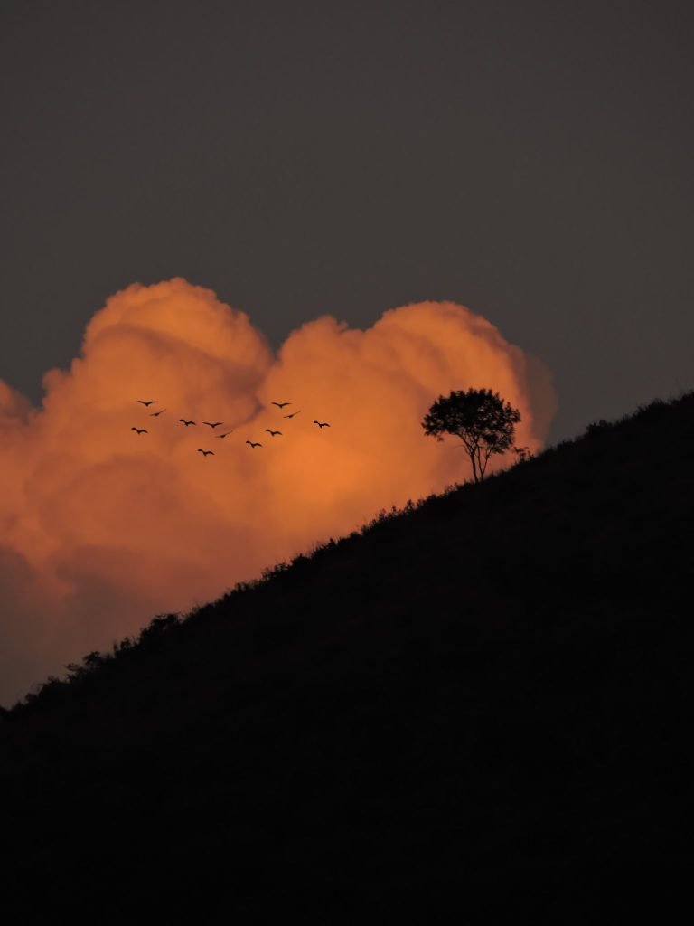 Fuego — Soles rojos y tormentas · 2021