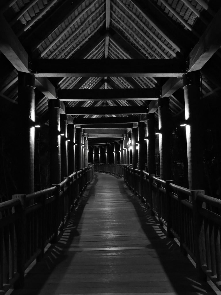 Noche roja — Vidanta · diciembre 2022