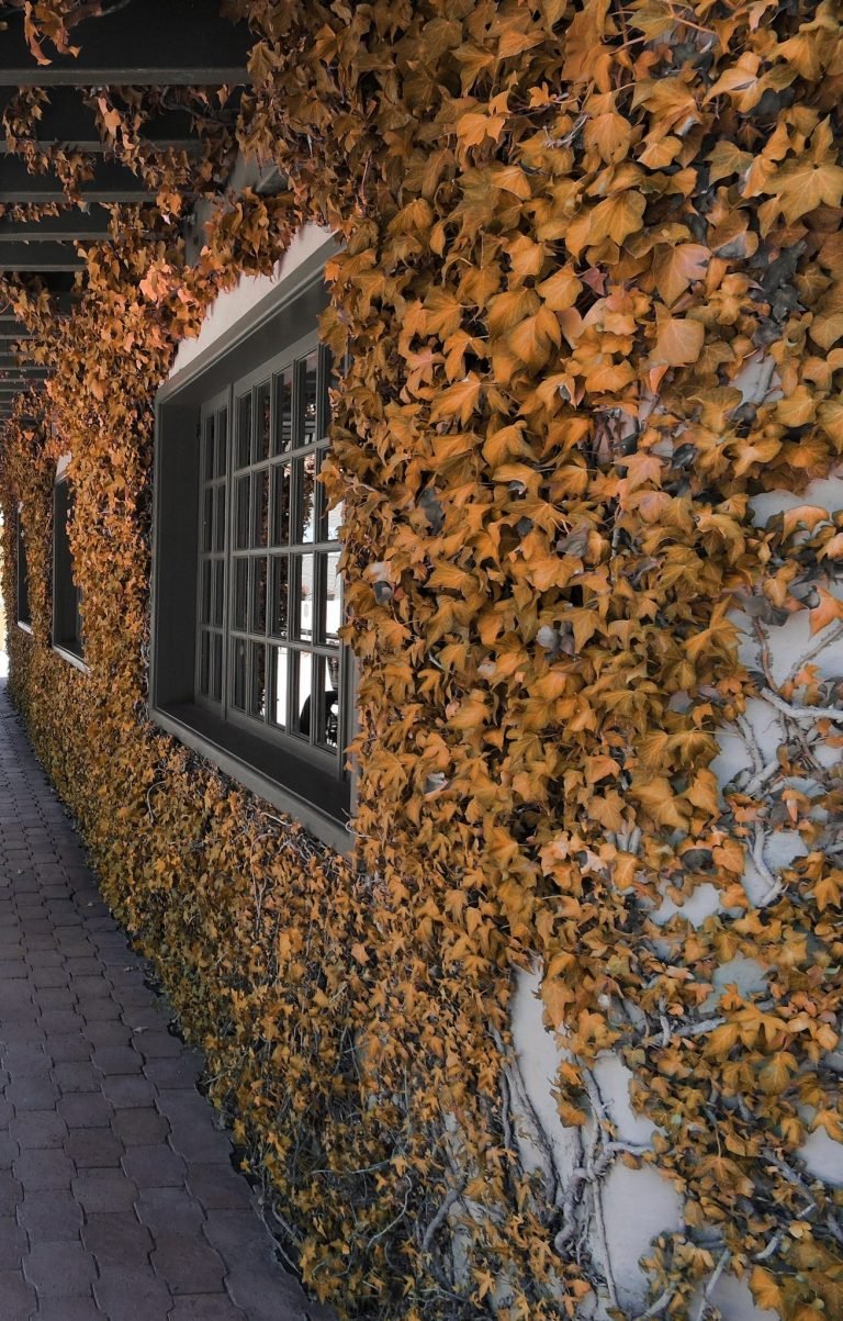 Patios y calles — Arquitectura · archivo