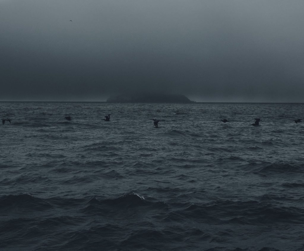 Niebla del Pacífico — San Francisco · 2021