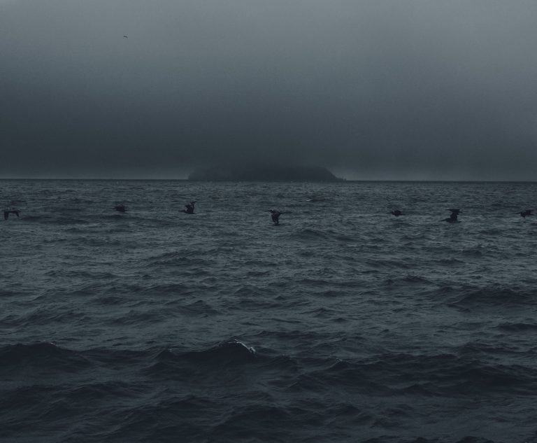Niebla del Pacífico — San Francisco · 2021