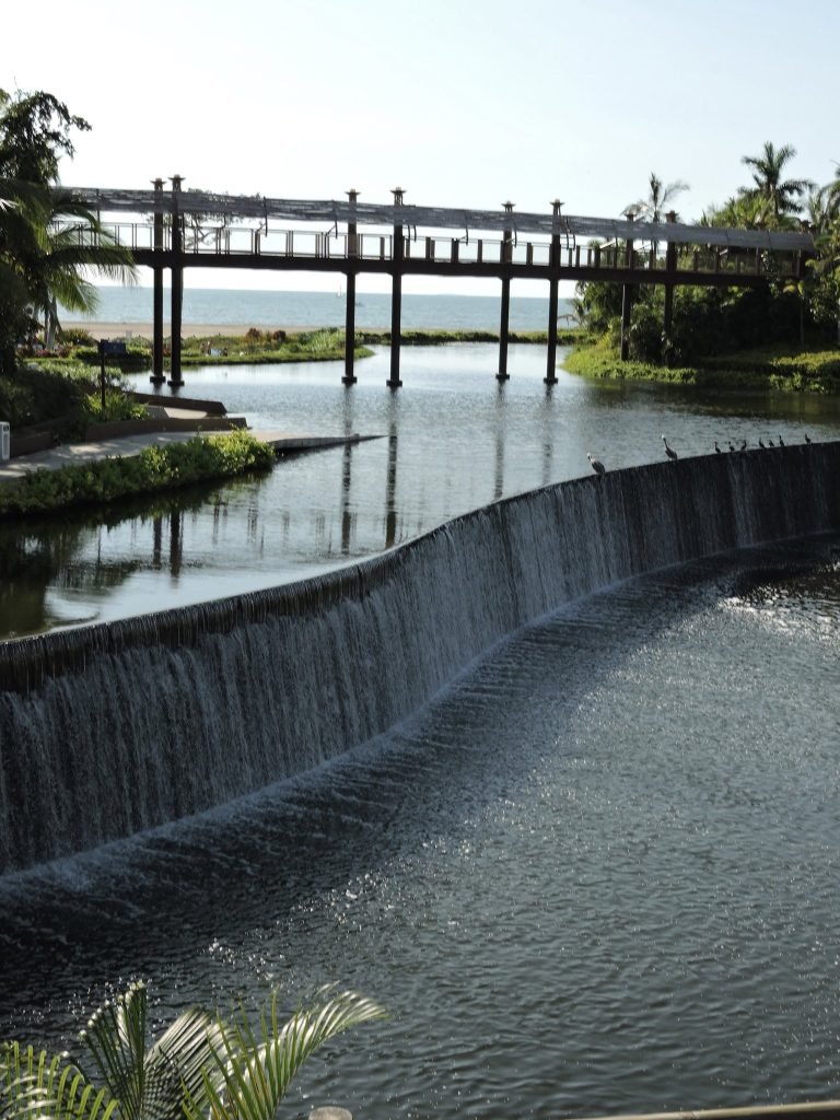 Verde trópico — Resort y selva · 2023–2025