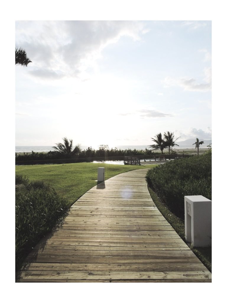 Verde trópico — Resort y selva · 2023–2025