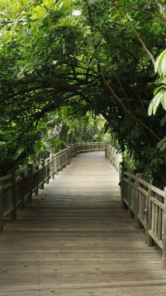 Verde trópico — Resort y selva · 2023–2025