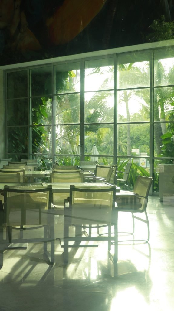 Verde trópico — Resort y selva · 2023–2025