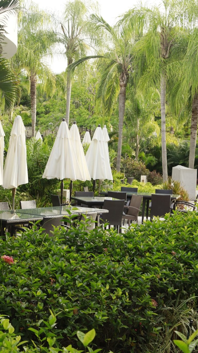 Verde trópico — Resort y selva · 2023–2025